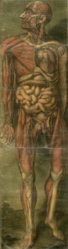 Prostate Cancer 